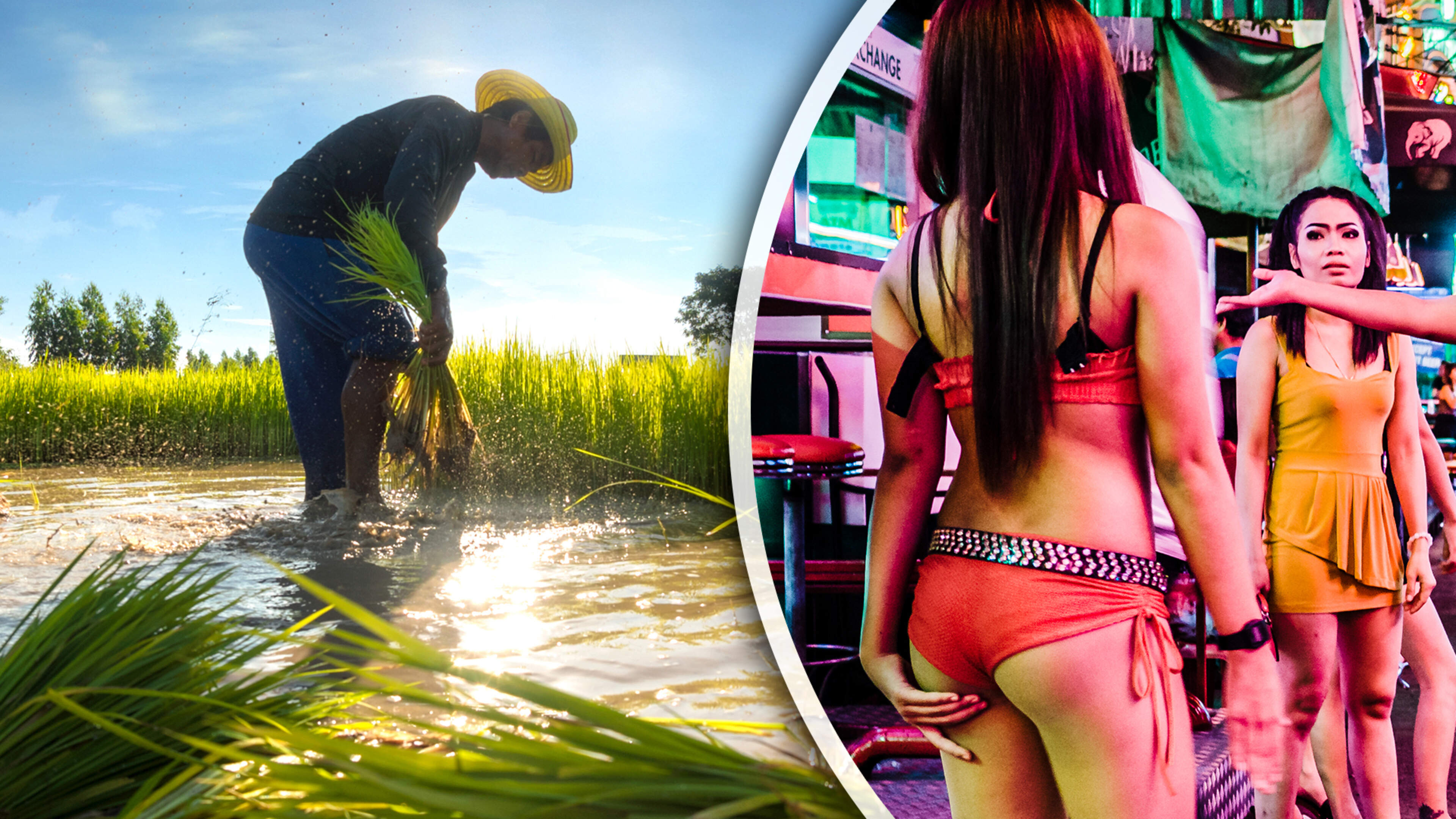 Sekstoerisme in Thailand blijkt goud waard in strijd tegen rijsttekort: ’Het helpt echt om de kosten te drukken’